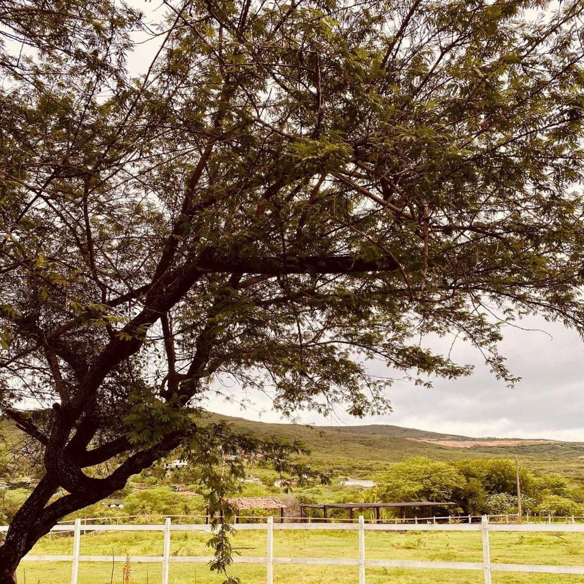 Lofts Flores Do Campo Gravata المظهر الخارجي الصورة