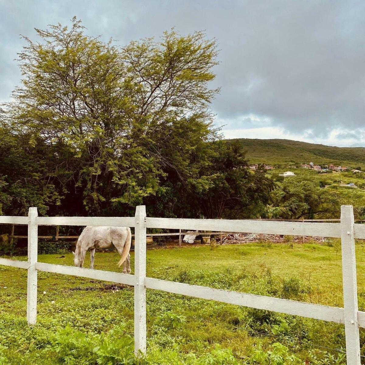 Lofts Flores Do Campo Gravata المظهر الخارجي الصورة